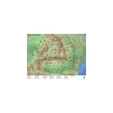 Mapa de birou flora/fauna - 50 x 70 cm (Aquila)