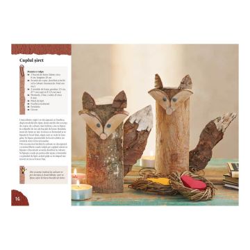 Decoraţiuni naturale pentru toamnă şi iarnă - Idei creative 117 (CASA)