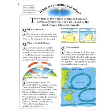 K/M Sea and Sealife- marea carte despre mari si oceane (909/SEKM)