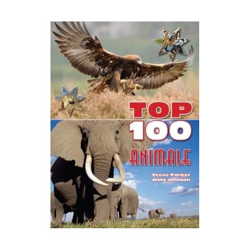 TOP 100 Animale (Aquila)