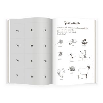 Animale si insecte. Activitatile mele Montessori (Gama)