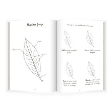 Natura si botanica. Activitatile mele Montessori
