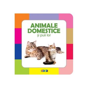 Animale domestice si puii lor (Prut)