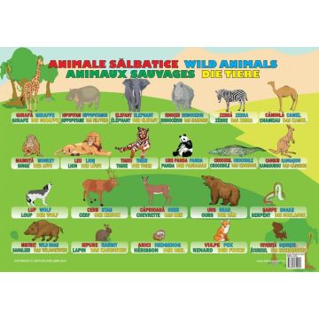 Plansa Animale Salbatice (Ars Libri)