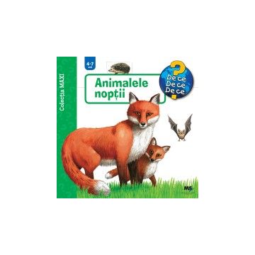 Seria MAXI - De ce? De ce? De ce? - Animalele noptii