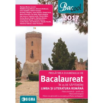 Pregatirea examenului de bacalaureat in 25 de saptamani la Limba si Literatura romana, profil real 2017