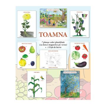  Set planse - TOAMNA, format A3 (Caba)