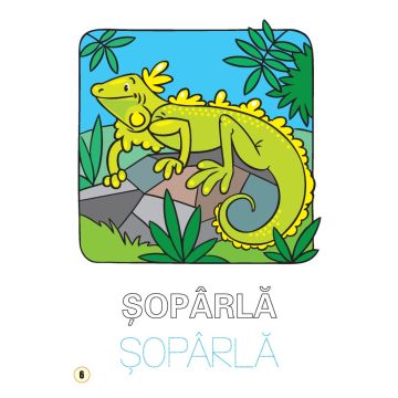 Limba engleza. Reptile şi animale marine (Elicart)