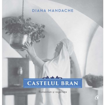 Castelul Bran (Curtea veche)