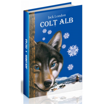 Colt Alb (Steaua Nordului)