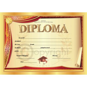 Diploma D3 2025 (Joy)