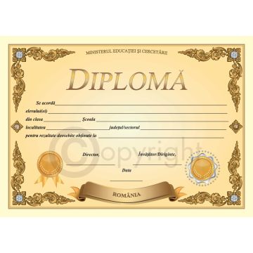 Diploma D5 2025 (Joy)