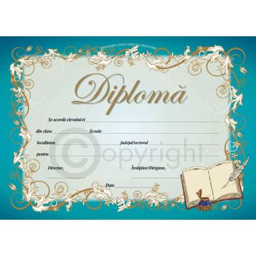 Diploma D6 2025 (Joy)