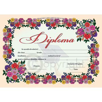 Diploma D8 2025 (Joy)