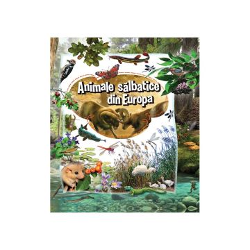 Animale salbatice din Europa  (Kreativ)