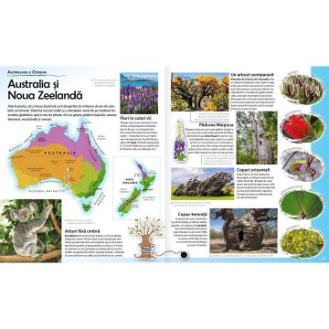 Atlas Botanic (Kreativ)