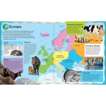 Atlas cu animale (Kreativ)