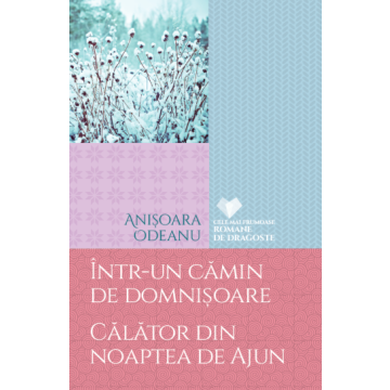 Intr-un camin de domnisoare. Calator din noaptea de Ajun (Litera)