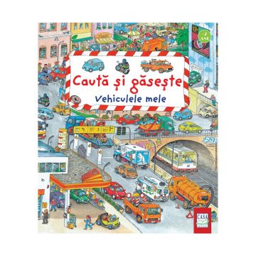 Vehiculele mele - Cauta si gaseste  (Casa)