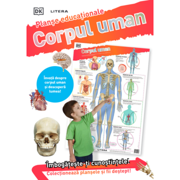 Corpul uman. Planse educationale (Litera)