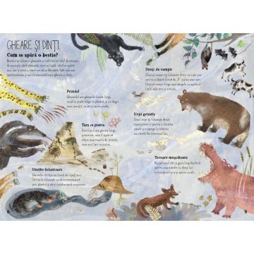 Marea carte despre bestii (DPH)
