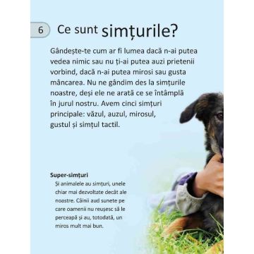 Simturi (Seria Discover Science) (Niculescu)