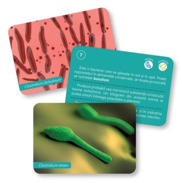 Bacterii si virusuri (Carti de joc Montessori pentru 6-12 ani) (Gama)
