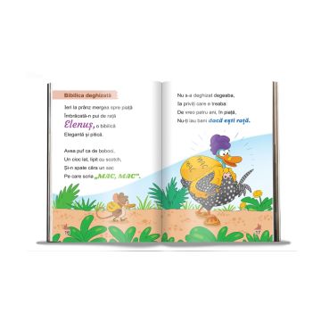 Poezii de vara (Zoo-versuri distractive si Jocul rimelor) (EDU)