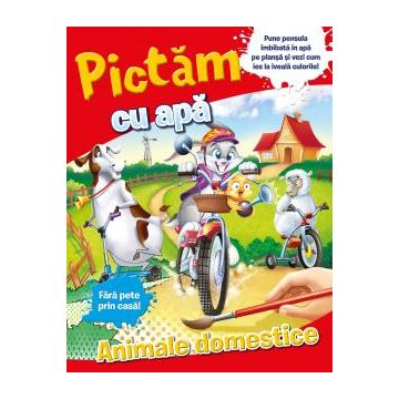 Pictam cu apa. Animale domestice (Litera)