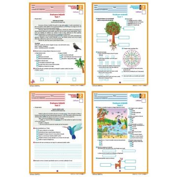 Evaluare initiala - clasa a II-a (Sinapsis)
