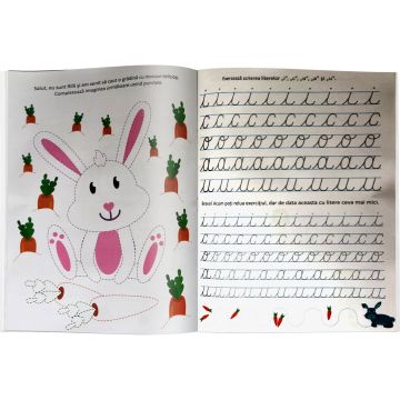 Invatam sa scriem - Editura Kreativ