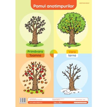 Pomul anotimpurilor - plansa didactica A3 (Diana)