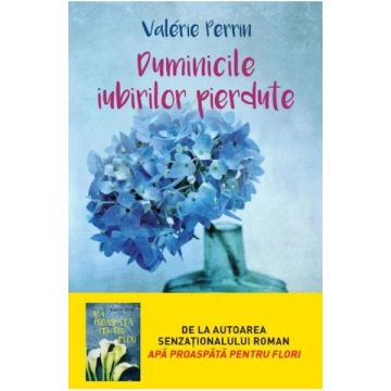 Duminicile iubirilor pierdute (Litera)