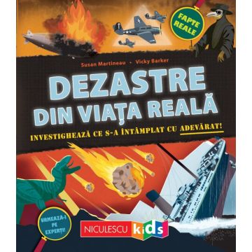 Dezastre din viata reala. Investigheaza ce s-a intamplat cu adevarat (Niculescu)