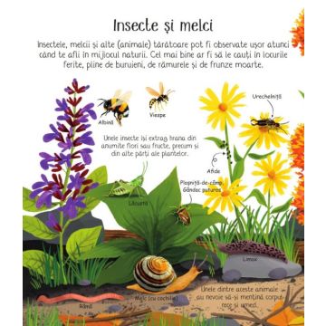 Prima mea carte despre NATURA (Niculescu)