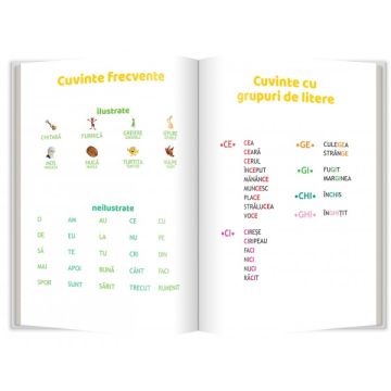 Turtita fermecata • Greierele si furnica (Gama)