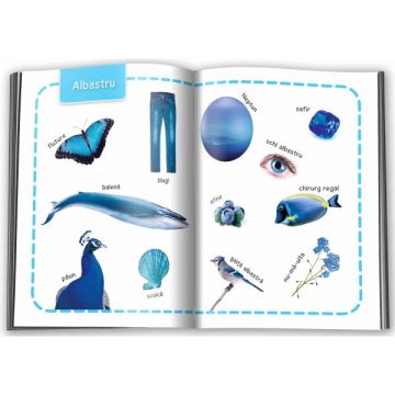 Invat 100 de cuvinte - Culori (Gama)