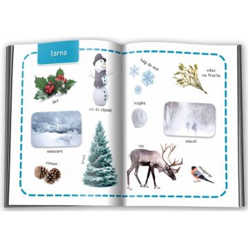 Invat 100 de cuvinte - Natura (Gama)