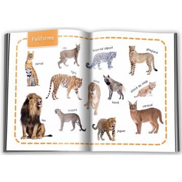 Invat 100 de cuvinte - Animale (Gama)
