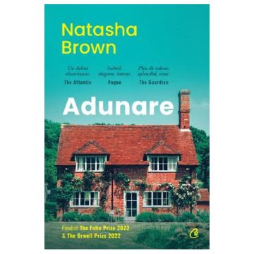 Adunare (Curtea Veche)