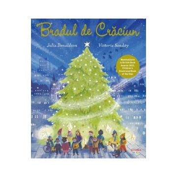 Bradul de Craciun (Litera)