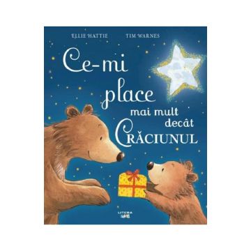 Ce-mi place mai mult decat Craciunul (Litera)