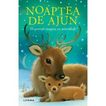 NOAPTEA DE AJUN. 10 povesti magice cu animalute (Litera)