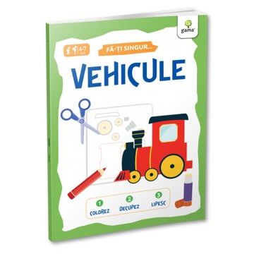 FA-TI SINGUR. Vehicule (Gama)