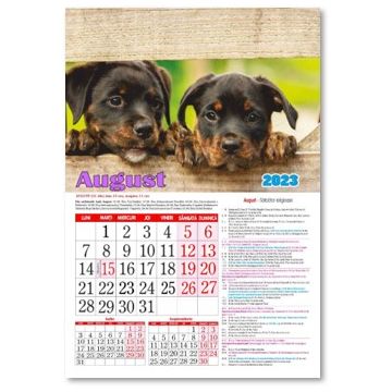 CALENDAR Animale si pasari 2023 (Andreas)