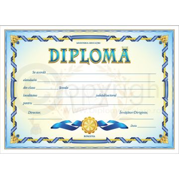 Diploma D1 2024 (Joy)