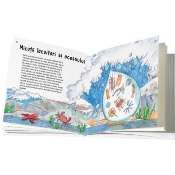 Stiinta ne invata despre... Ocean (Ars Libri)