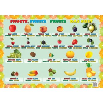 Plansa Fructe (Ars Libri)