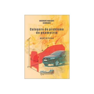 Culegere de probleme de geometrie pentru liceu (Hyperion)
