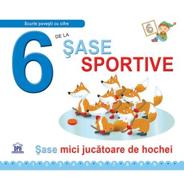 6 de la Sase sportive - Necartonata (DPH)